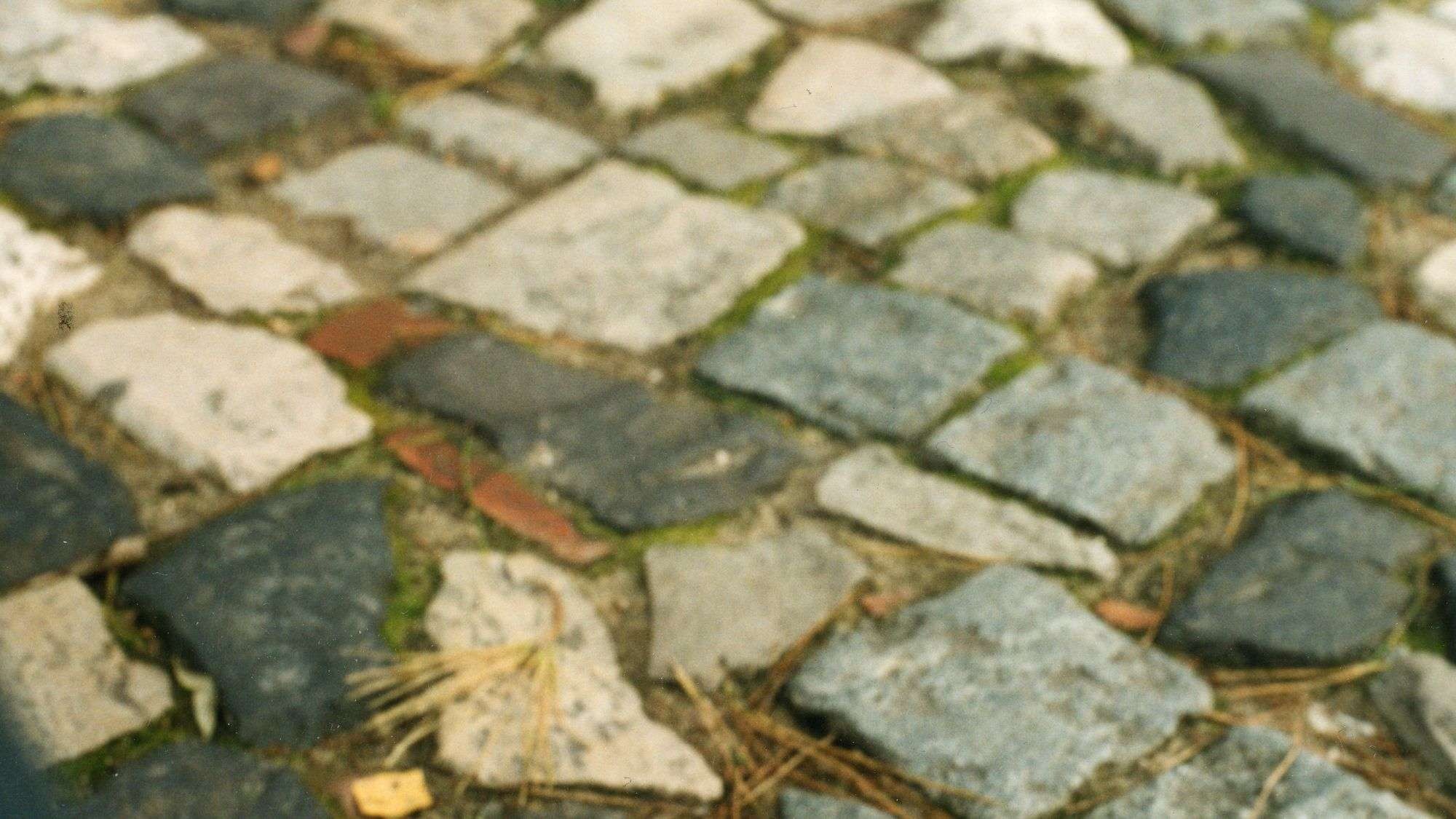 Heuschnupfen: In manchen Straßen sind Pollen Mangelware