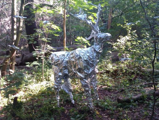 Hirsch im Prießnitzgrund. Danke an @drk20.