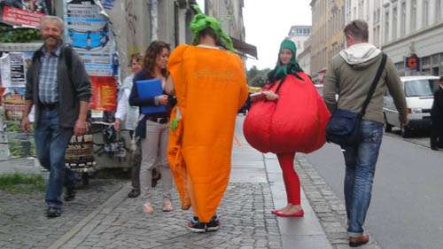 Barockes Gemüse auf der Alaunstraße