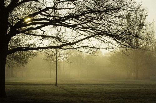 Der Alaunplatz - Foto: Marc McLovin