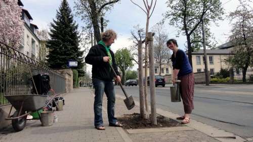 Die Grünen Torsten Schulze und Elke Zimmermann pflanzen einen Baum.