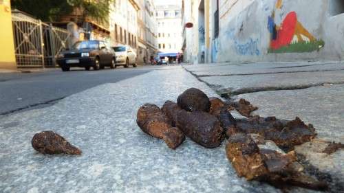 Ein seltenes Wurstexemplar, gesichtet auf der Martin-Luther-Straße