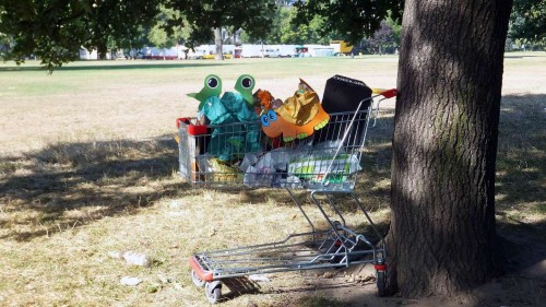 Gesehen auf dem Alaunplatz