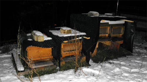 Das Winterquartier der Hecht-Bienen