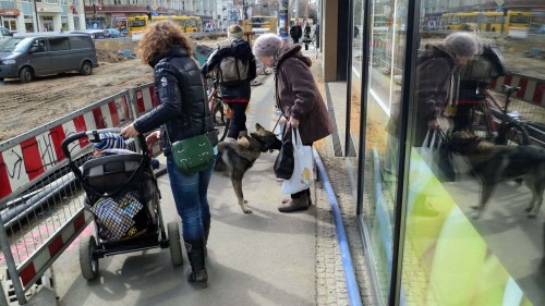 Heldin des Tage - die ältere Dame zieht mutig den ihr fremden Hund zur Seite, damit Mutter und Kind gefahrlos durchkommen.