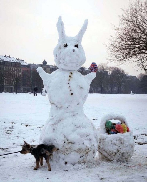 Schneehase am Alaunplatz