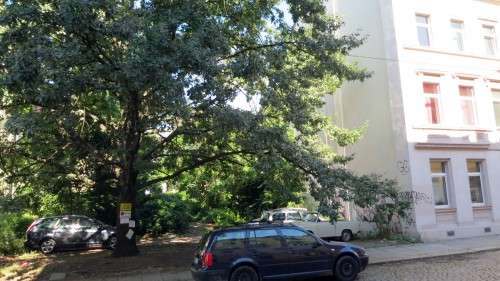 Parkplatz im Schatten des Baumes