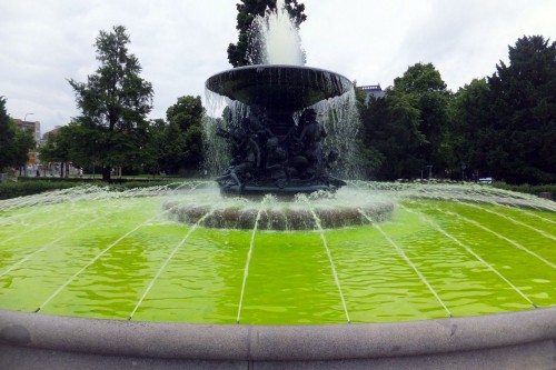 eingefärbter Brunnen am Albertplatz