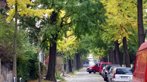 Trotz Herbst noch erstaunlich grün: die Bachstraße