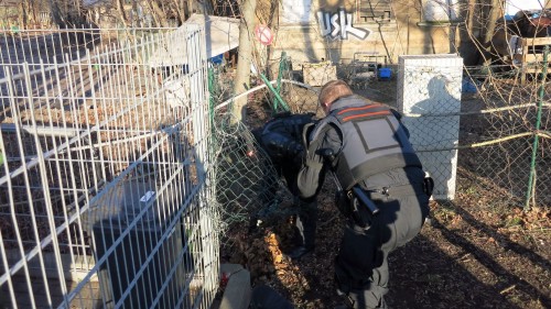 Ein kleiner Umweg verhindert größere Auseinandersetzungen am Haupteingang.