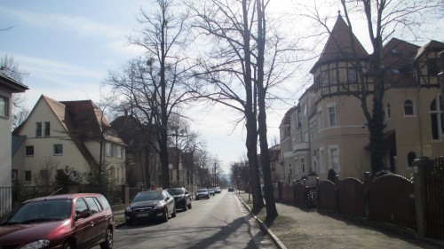Blick auf die Angelikastraße. Lange Schatten, schmale Bäume