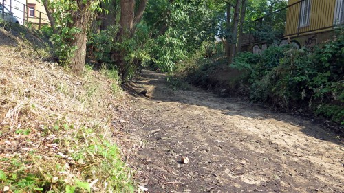 ausgetrocknet - Prießnitz-Bett in Höhe des Bischofsweges