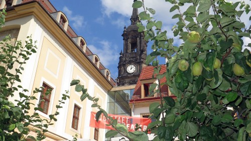 Die Gegend rund um Societaetstheater und Dreikönigskirche ist die Innere Neustadt