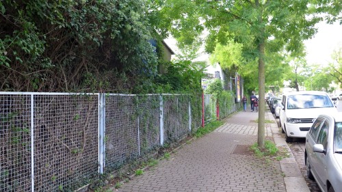 Um das Grundstück hinter den Hecken geht es: Dr.-Friedrich-Wolf-Straße