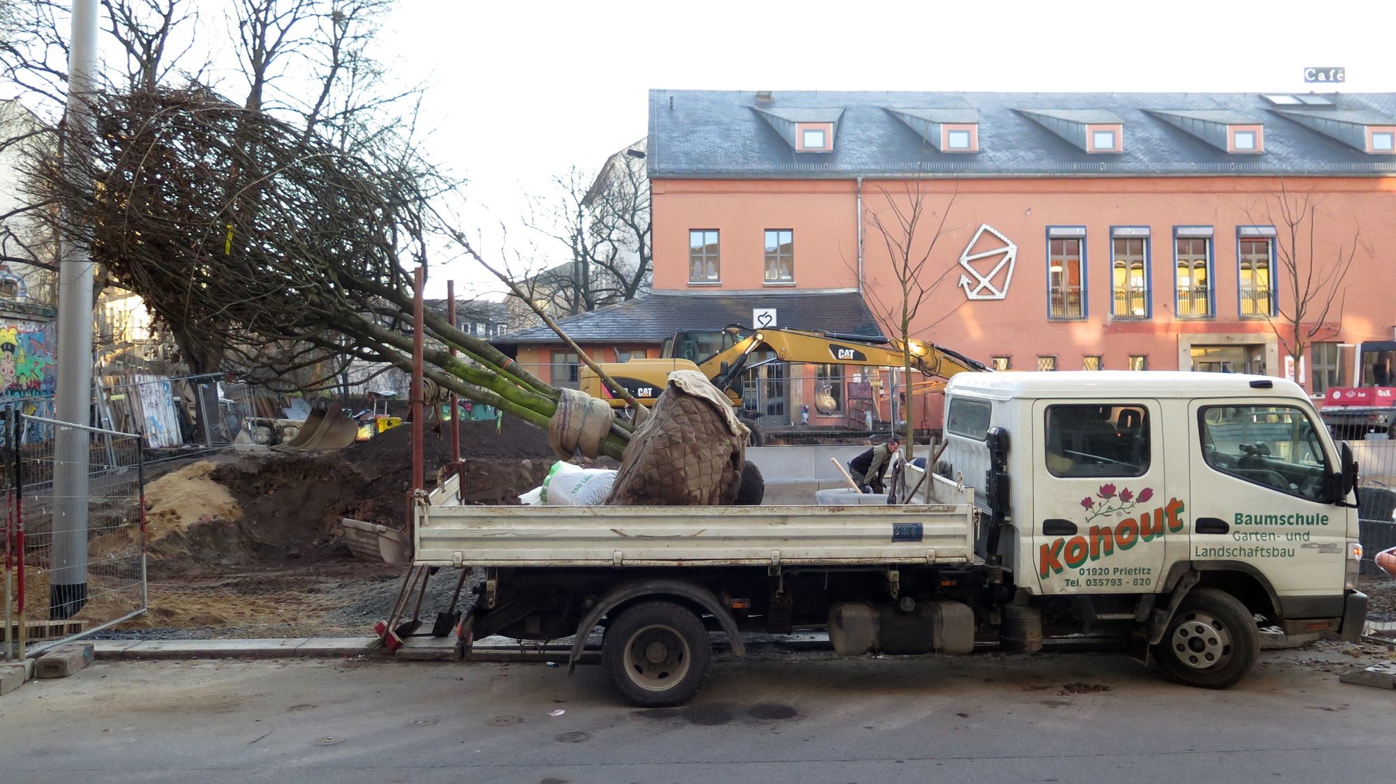 Auf dem Laster sieht der Baum noch richtig groß aus.