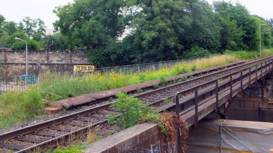 Das feuchtfröhliche Sommerwetter verwandelt die stillgelegte und noch nicht abgerissene Bahnbrücke über der Stauffenbergallee in eine Grünbrücke.