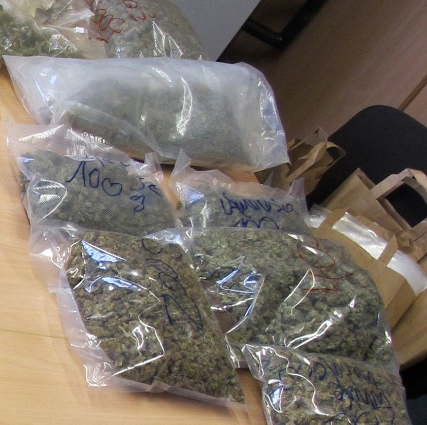 Sechs Kilo Cannabis beschlagnahmt - Neustadt-Geflüster