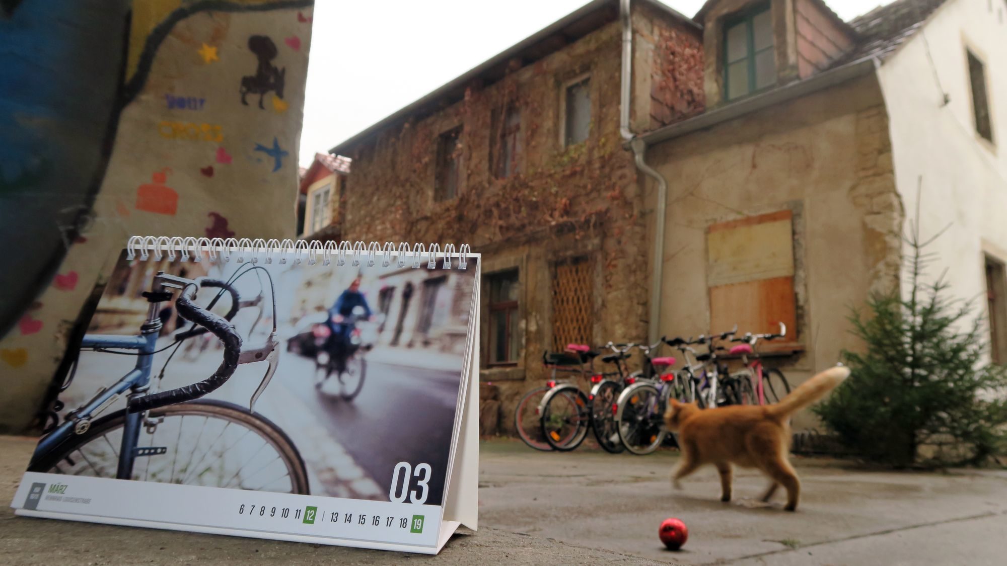 Neustadt-Kalender zum Aufstellen mit Weihnachtskugel und Kätzchen.