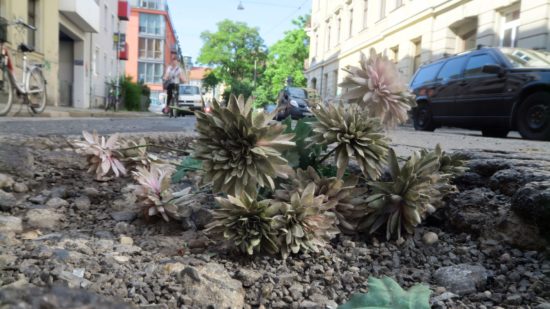 Wenn es nicht von selber wächst, wird nachgeholfen.