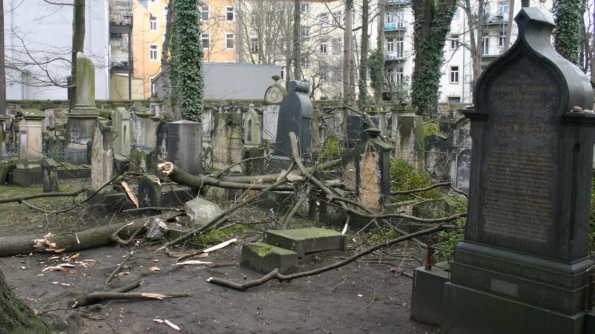 Durch herunterstürzende Äste wurden bereits Grabplatten beschädigt. (Foto: Hatikva e.V.)