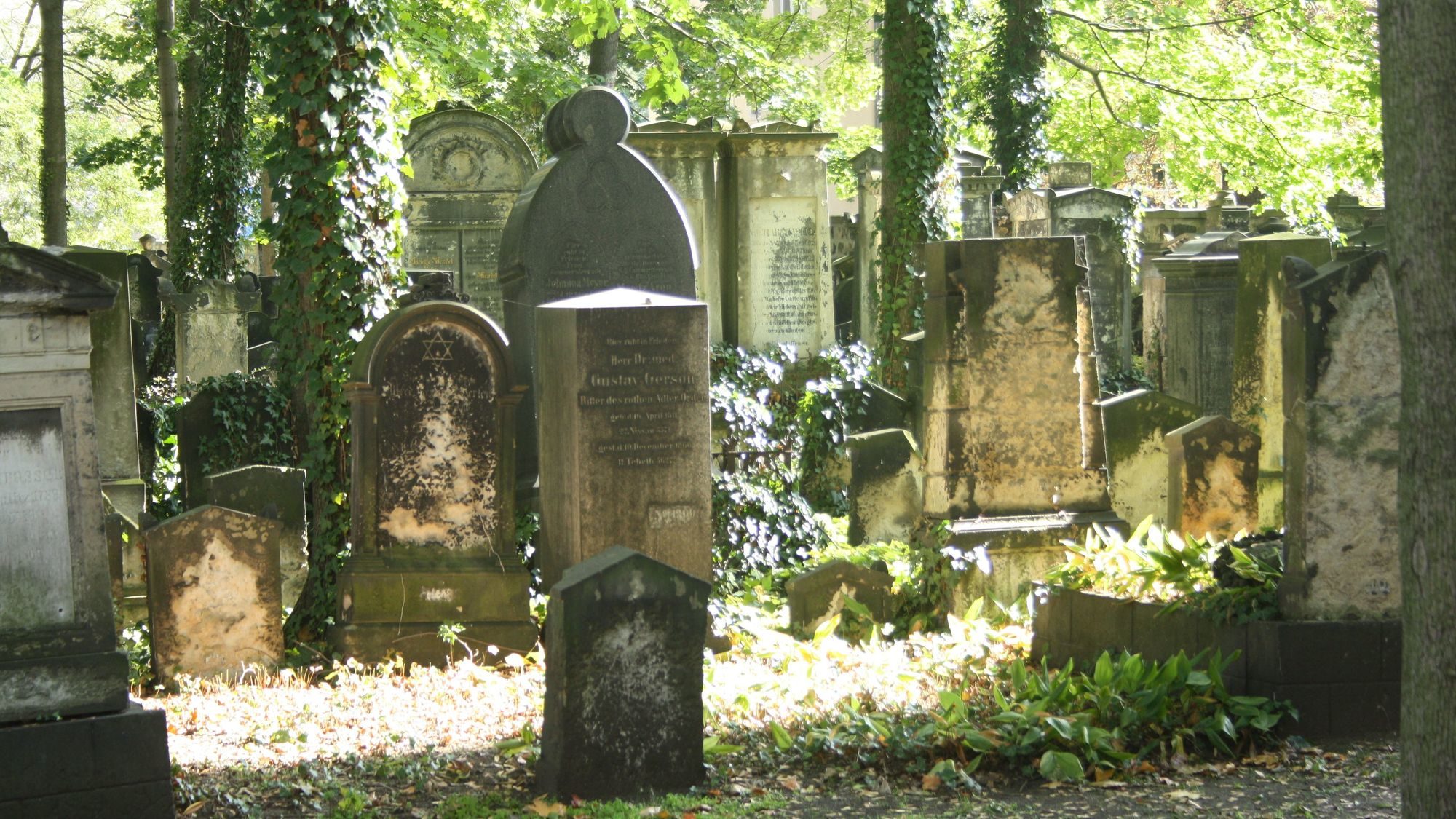 Wenn der Baum gefällt wird, können auch wieder Führungen über den Friedhof stattfinden.