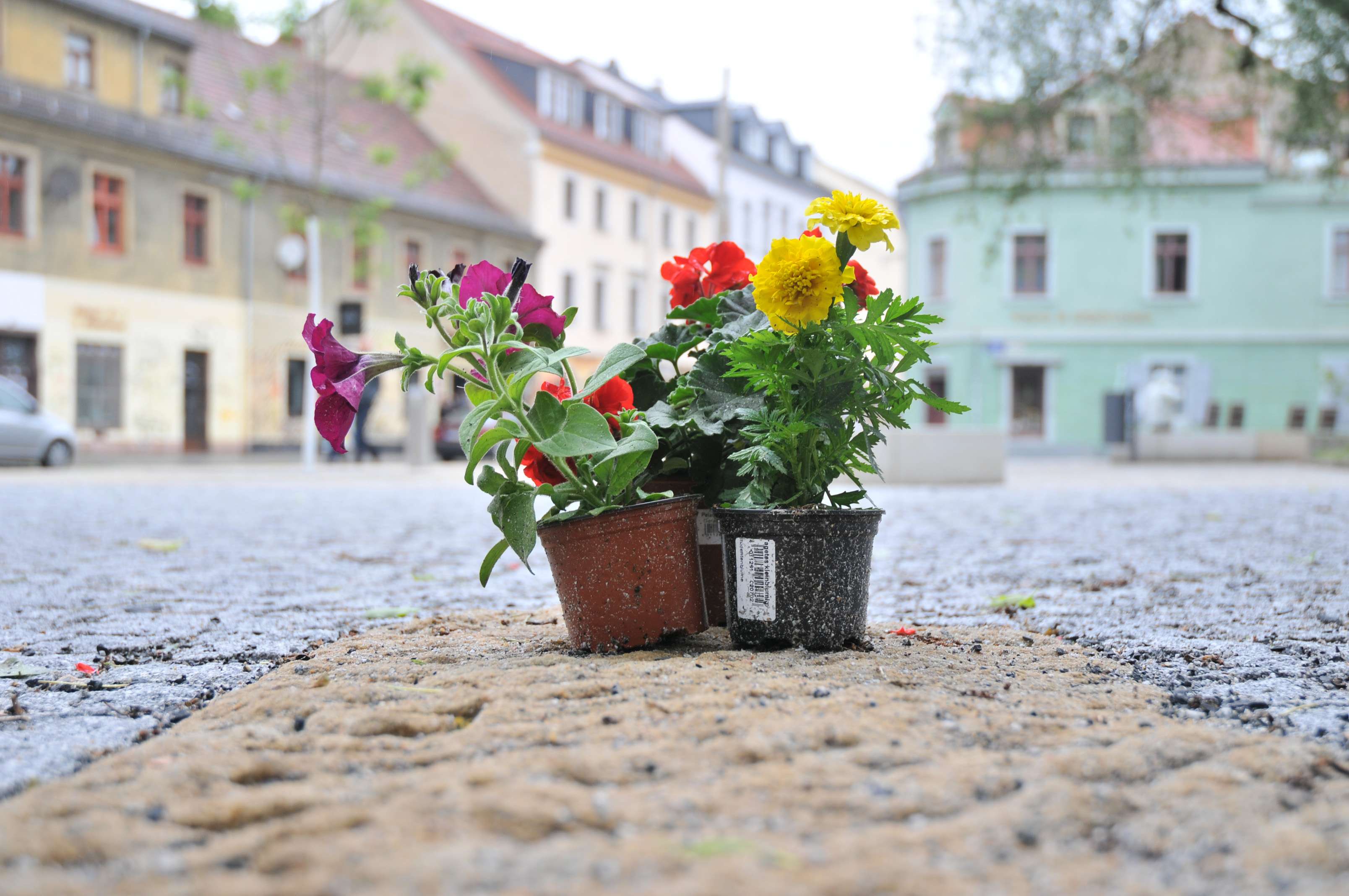 Buntes auf der Ecke