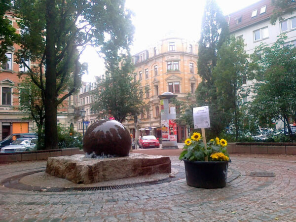 Sonnenblume am Kugelbrunnen