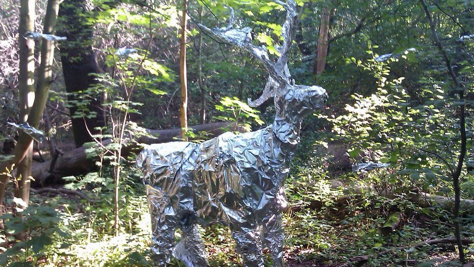 Hirsch im Prießnitzgrund. Danke an @drk20.