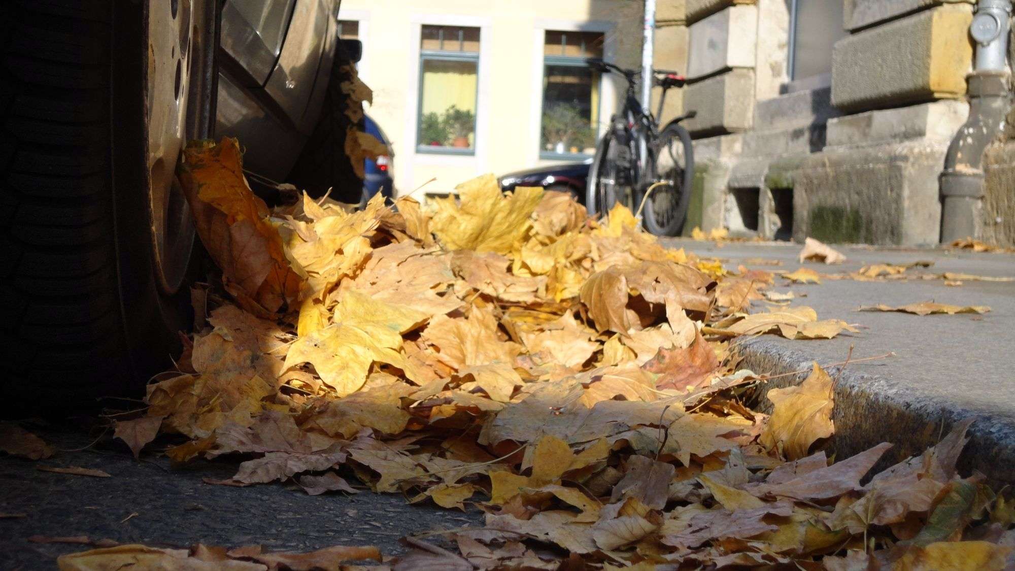 Herbst - gesehen auf der Pulsnitzer Straße