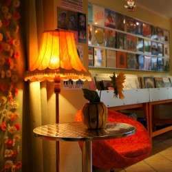 Ganz ohr für Platten - Zentralohrgan - Neustadt-Geflüster