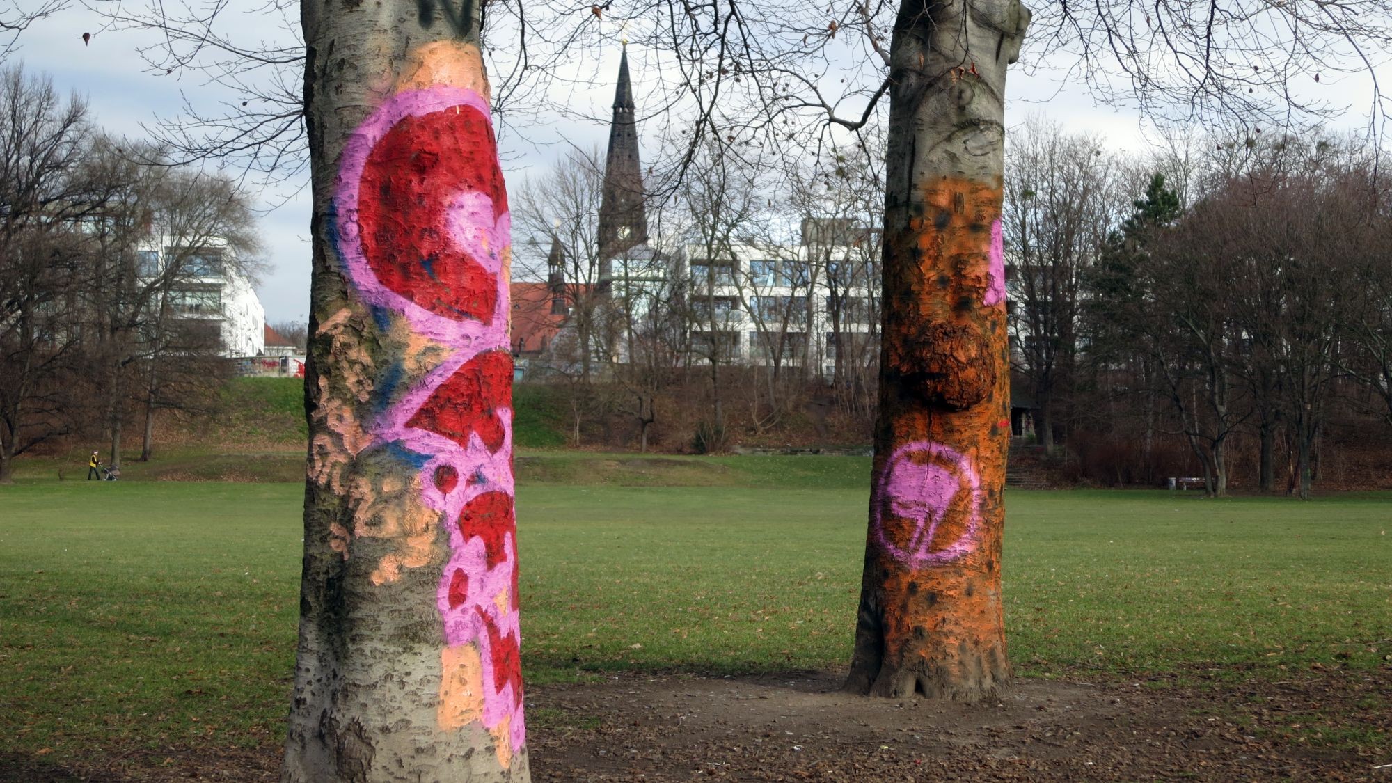 bunte Bäume auf dem Alaunplatz