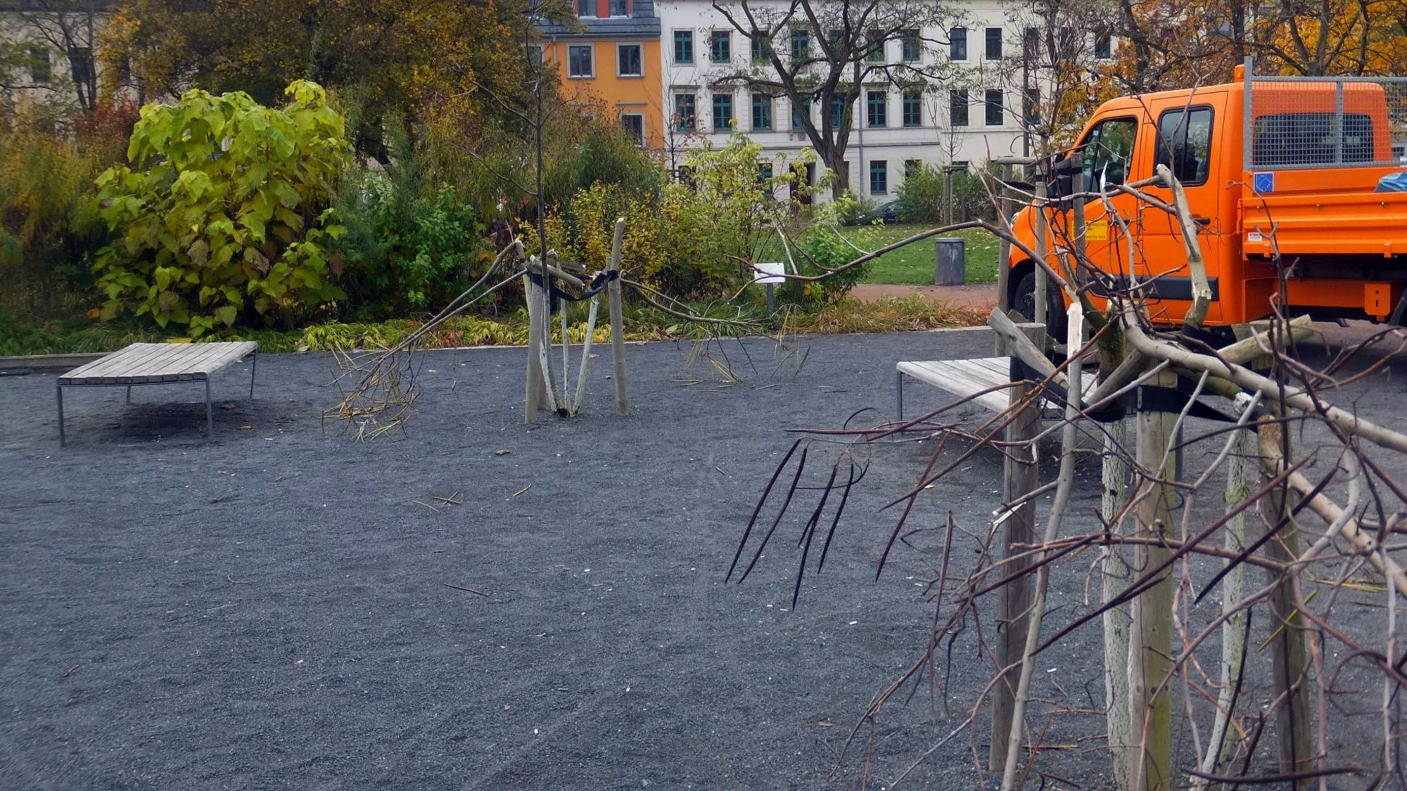 Kaputte Bäume am Alaunplatz