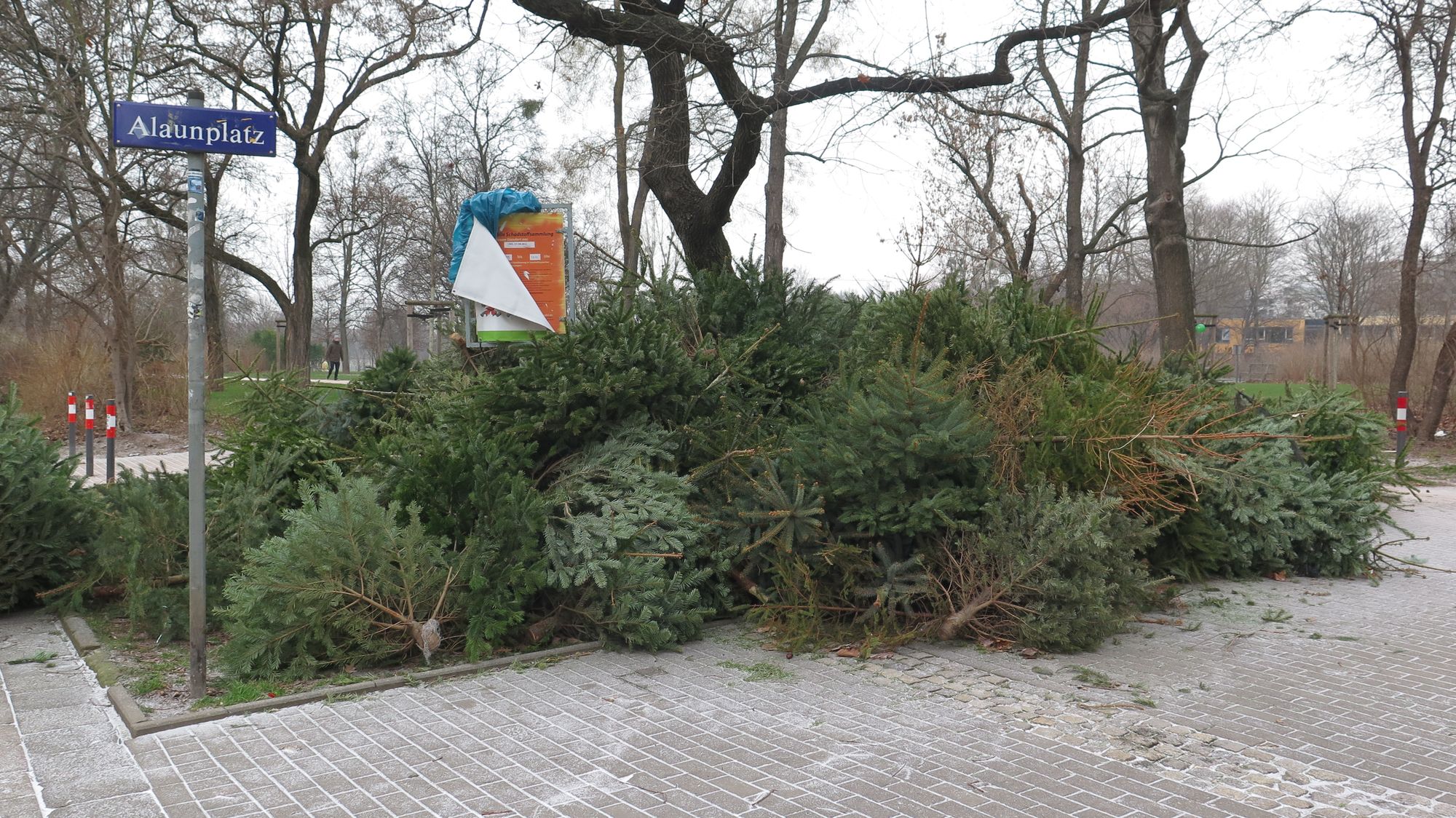 Weihnachtsbaum-Lagerstelle am Alaunplatz