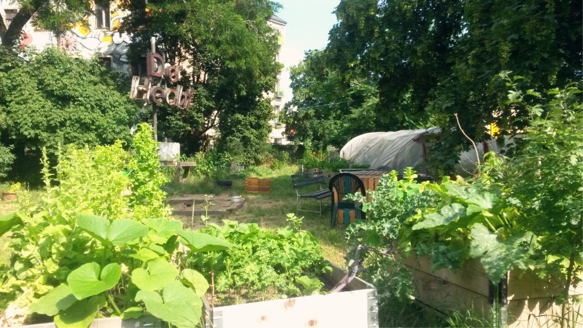 Der Gemeinschaftsgarten "Hechtgrün" am Bischofsplatz wird Freitag Abend zum Tanzlokal