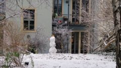 Hinterhof-Schneemann