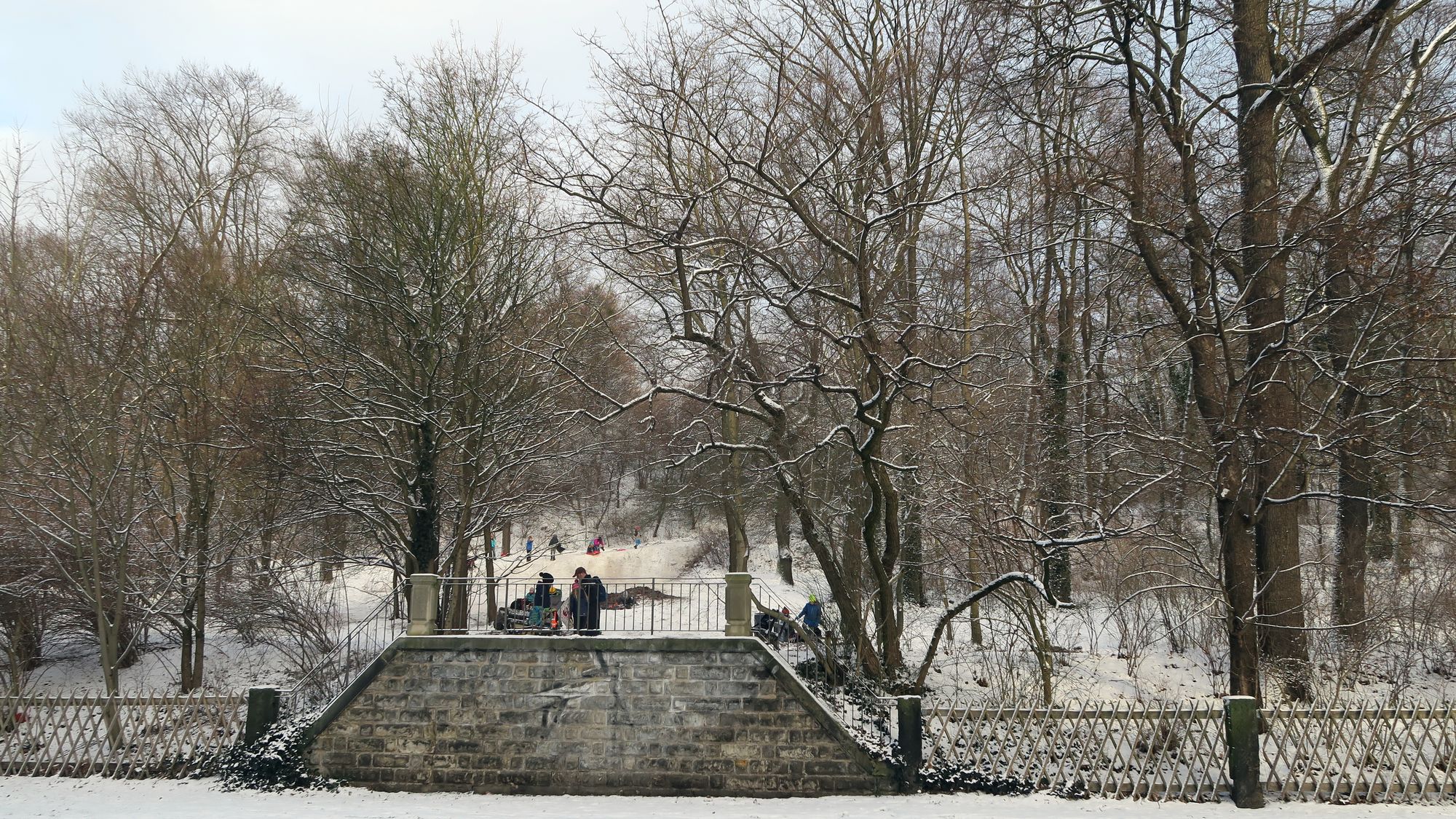 Ab Montag werden im Hechtpark Bäume gefällt.