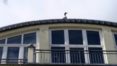 Orientierungshilfe vom Dach?