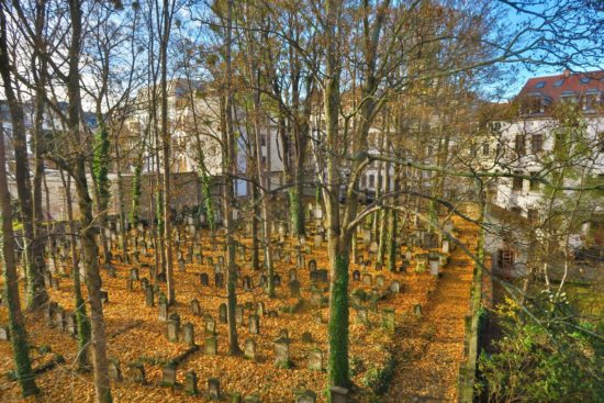 Alter Jüdischer Friedhof im Herbst 2016 - Foto: Archiv