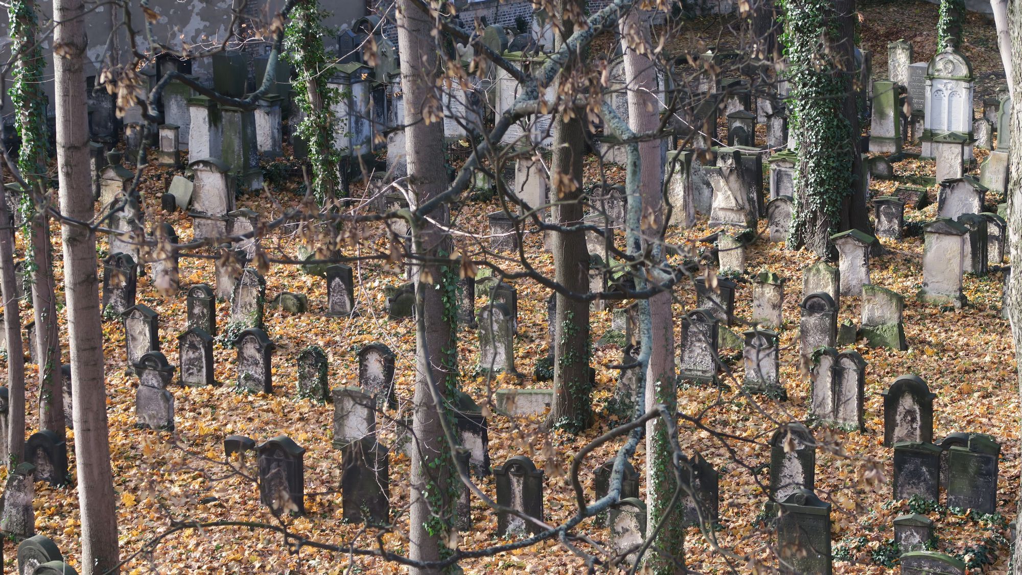 Alter Jüdischer Friedhof im Herbst 2016 - Foto: Archiv