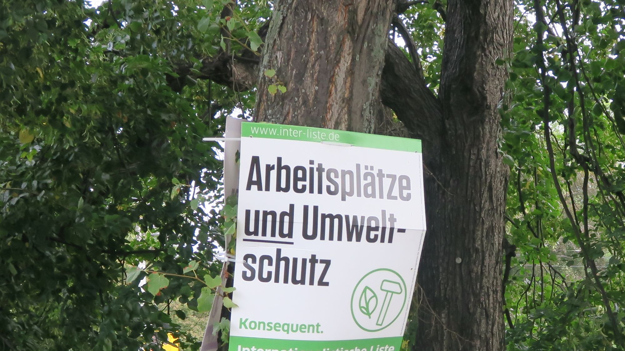 Plaste-Plakat am Baum am Albertplatz