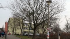 Rosengartenschule an der Löwenstraße