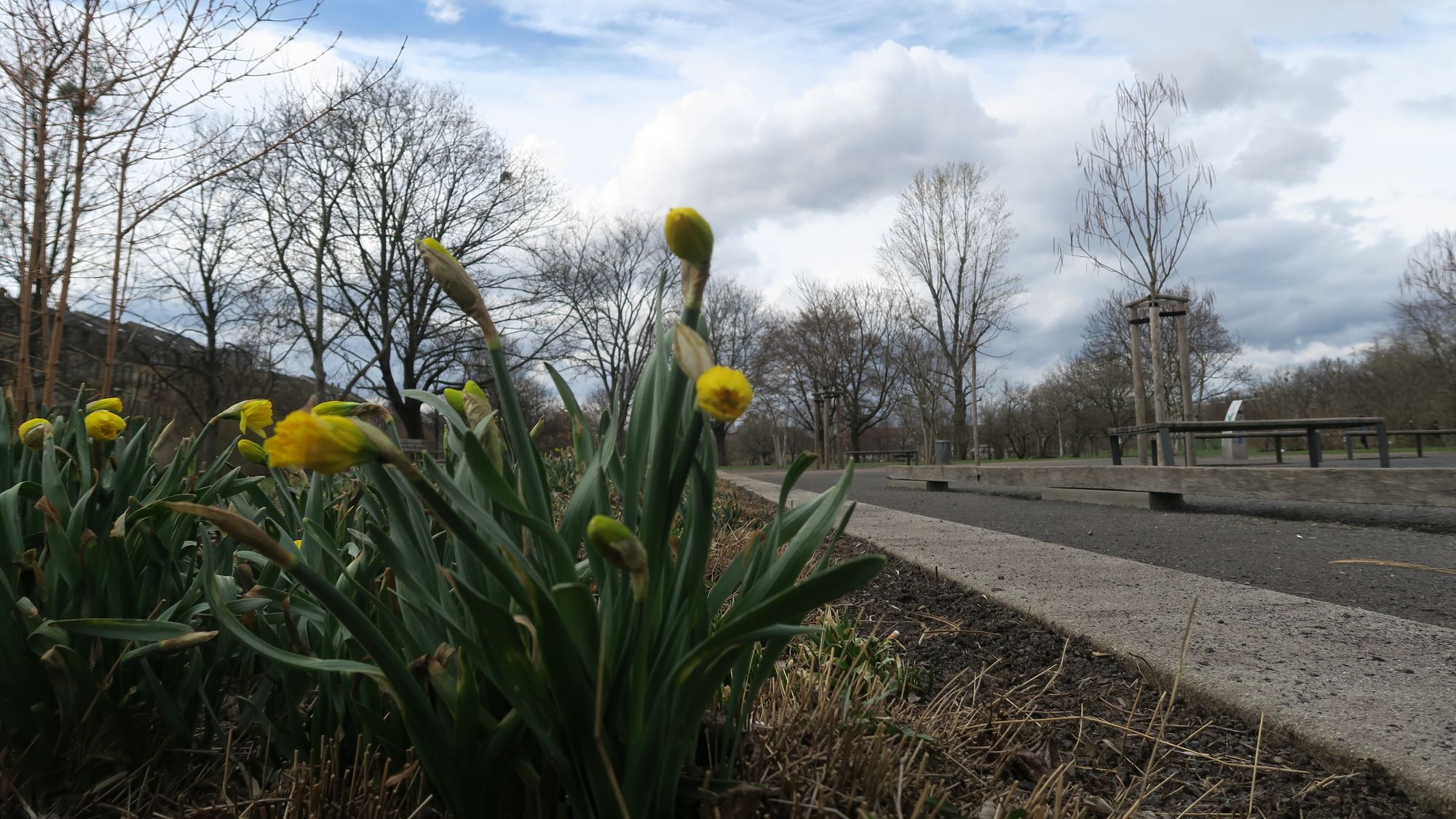 Frühlingsgefühle am Alaunplatz