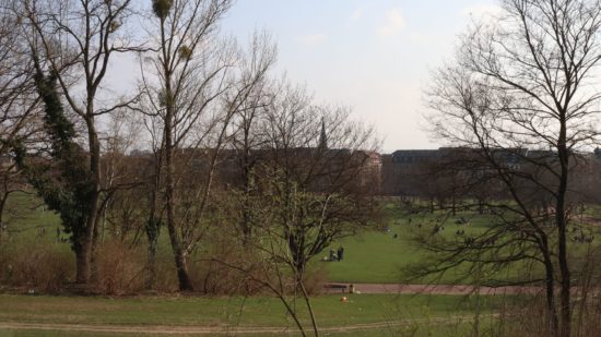 Seltener, aber nicht ausgeschlossen: Auch in Parks wie dem Alaunplatz kann es Zecken geben.