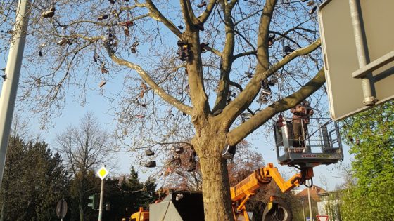 Schuhentfernungsarbeiten am Albertplatz