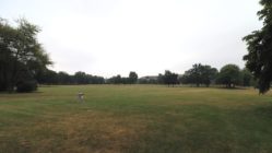 Wege-Sanierungen auf dem Alaunplatz geplant