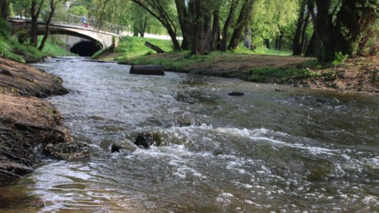 Prießnitzmündung mit reichlich Wasser - Foto: Archiv/April 2018