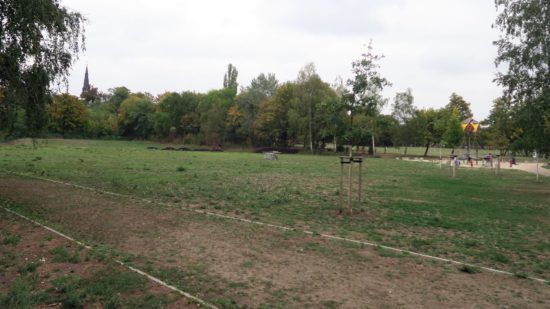 Der Russensportplatz - momentan vor allem eine große Wiese