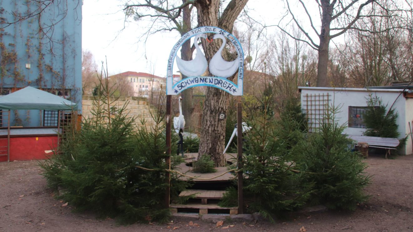 Gans- und Schwanenparadies an der Prießnitzstraße