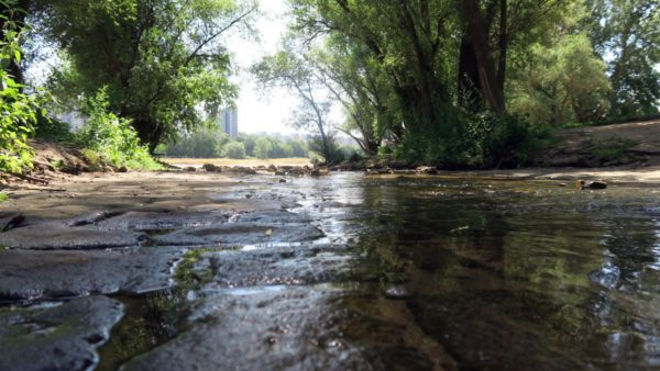 Nur ein handbreit Wasser an der Mündung der Prießnitz.