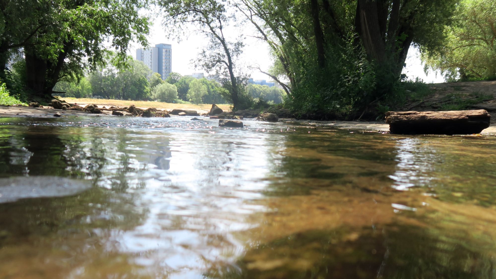 Nur ein handbreit Wasser an der Mündung der Prießnitz.